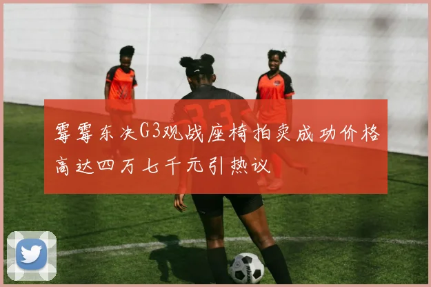 霉霉东决G3观战座椅拍卖成功价格高达四万七千元引热议