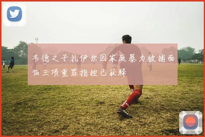 韦德之子扎伊尔因家庭暴力被捕面临三项重罪指控已获释