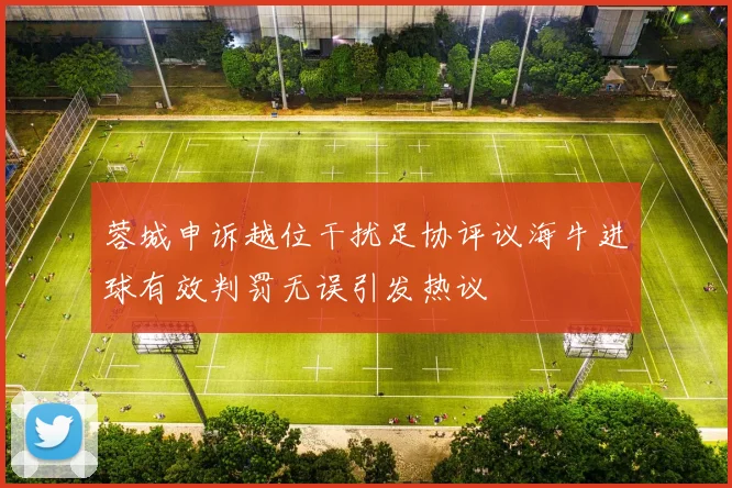 蓉城申诉越位干扰足协评议海牛进球有效判罚无误引发热议